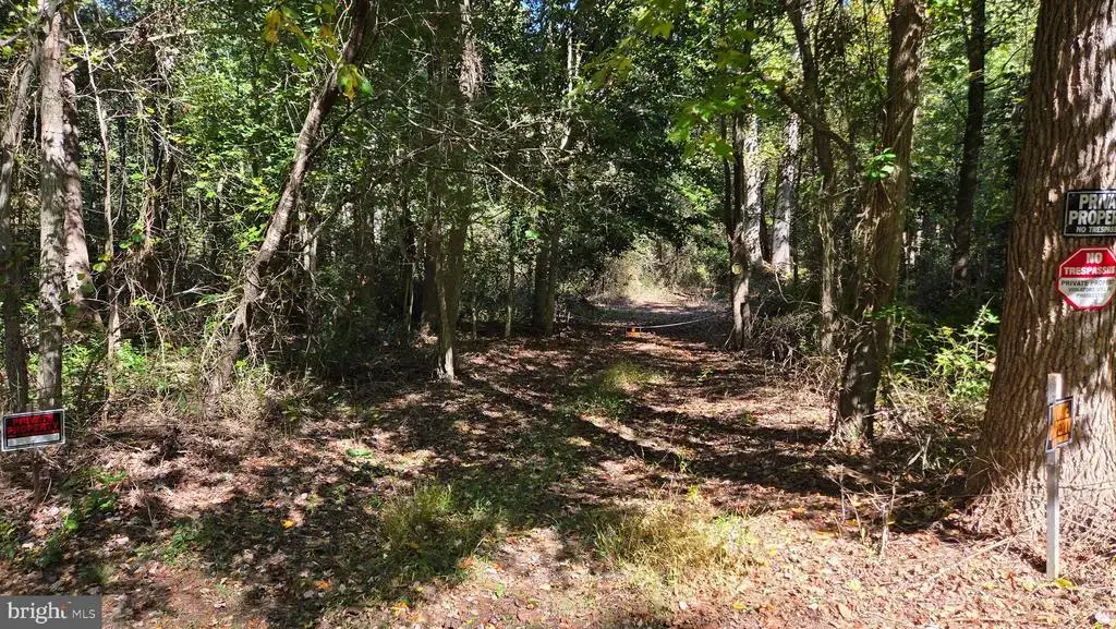 Duhamel Corner Rd, MARYDEL