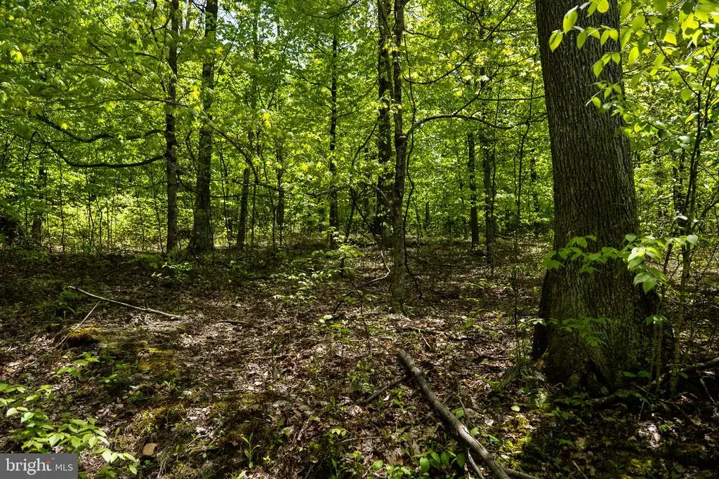 Lot 1 Laurel Mountain Rd, BELINGTON