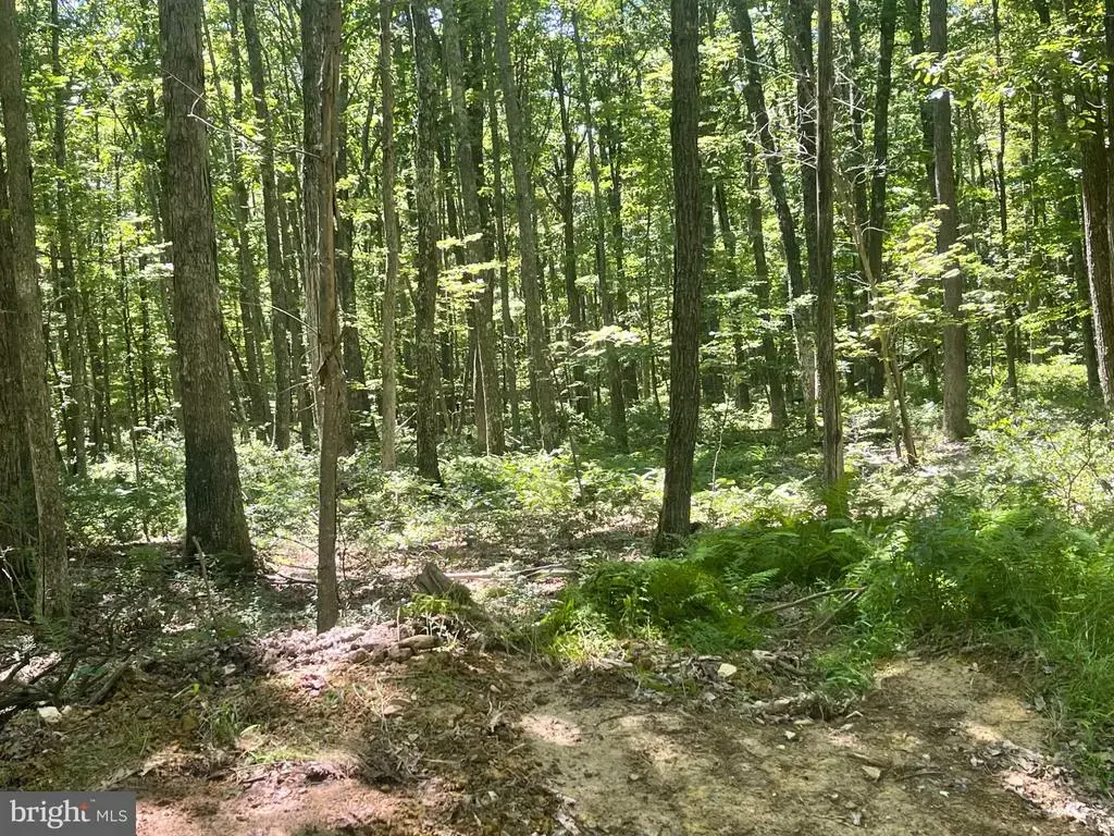 Upper Abrams Creek Rd, ELK GARDEN