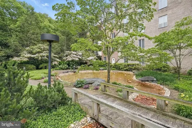 8101 Connecticut Ave #n-304, Chevy Chase
