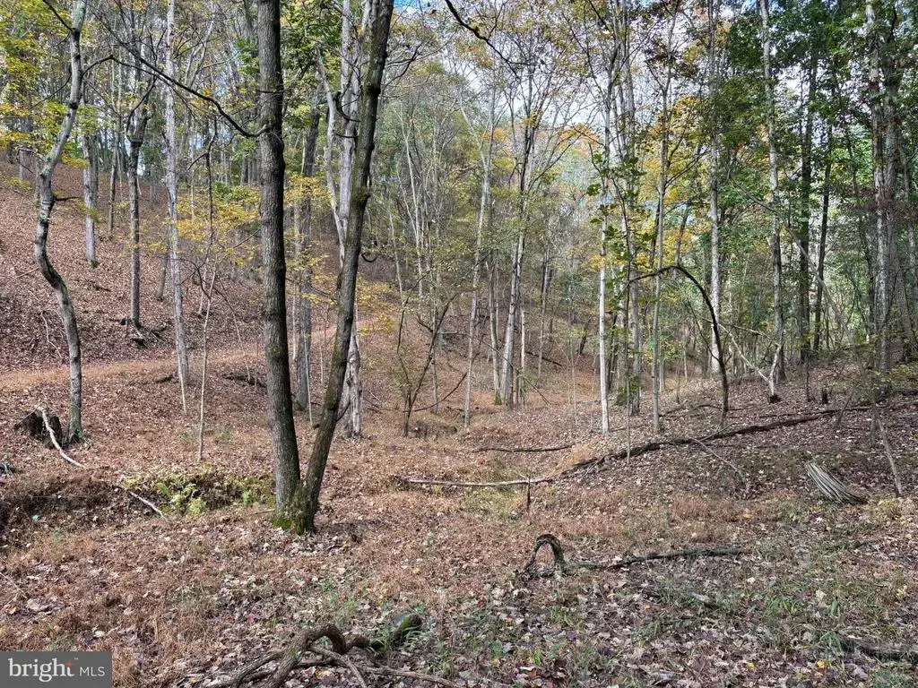 49.76 Acres Off Dans Run Rd, FORT ASHBY