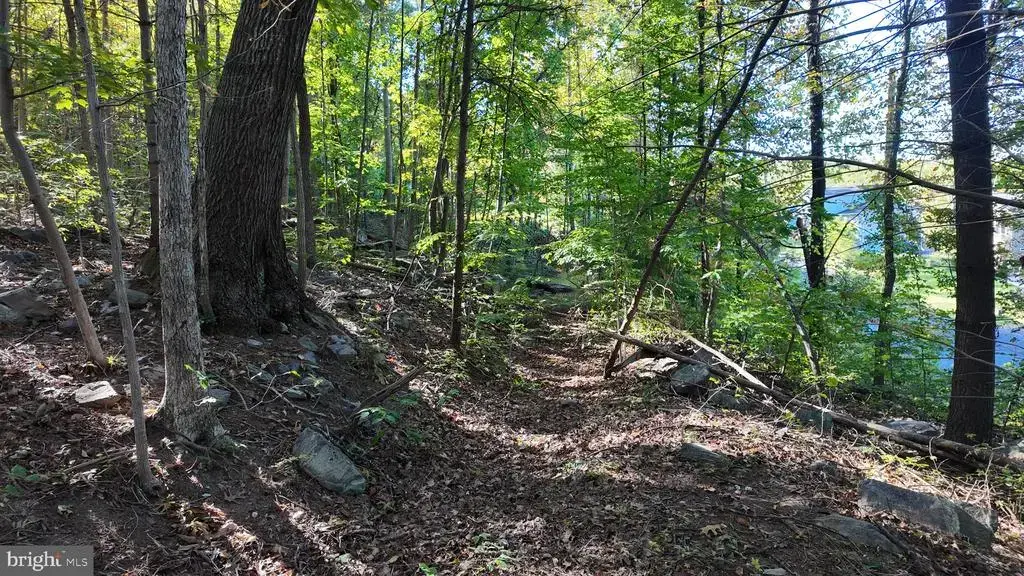 Drummer Hill Rd, FRONT ROYAL