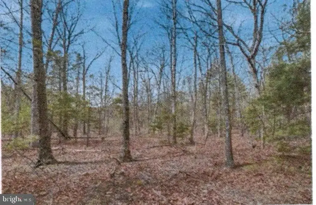16 B -  Back Mountain Rd, WINCHESTER