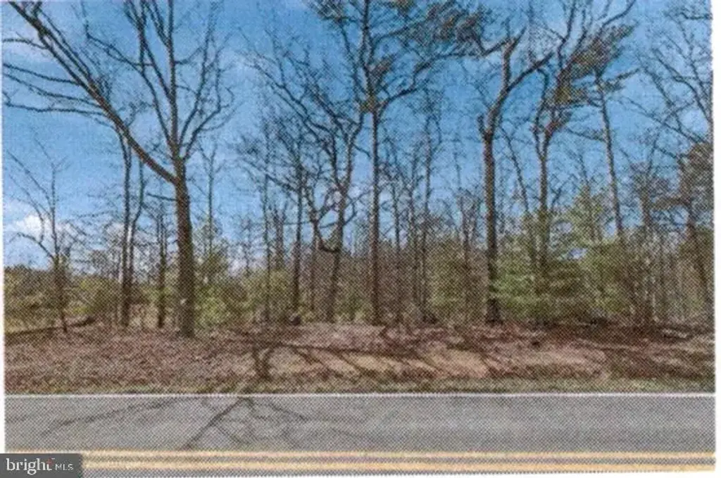 16 F -  Back Mountain Rd, WINCHESTER