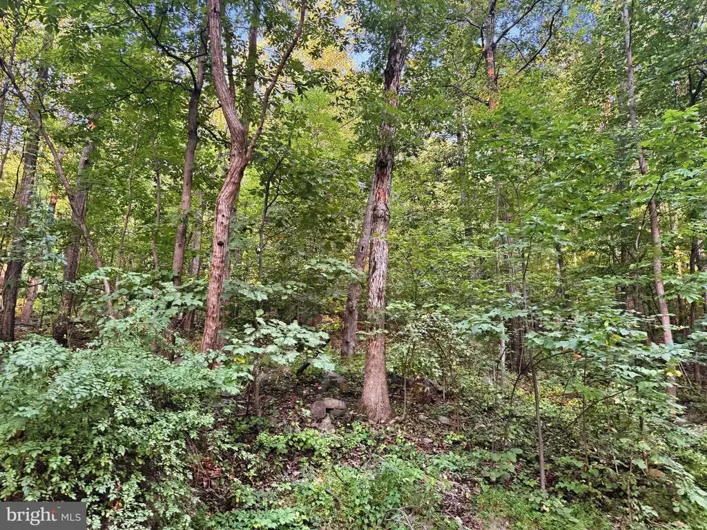 Lots 14-18 Red Maple Ln, HARPERS FERRY