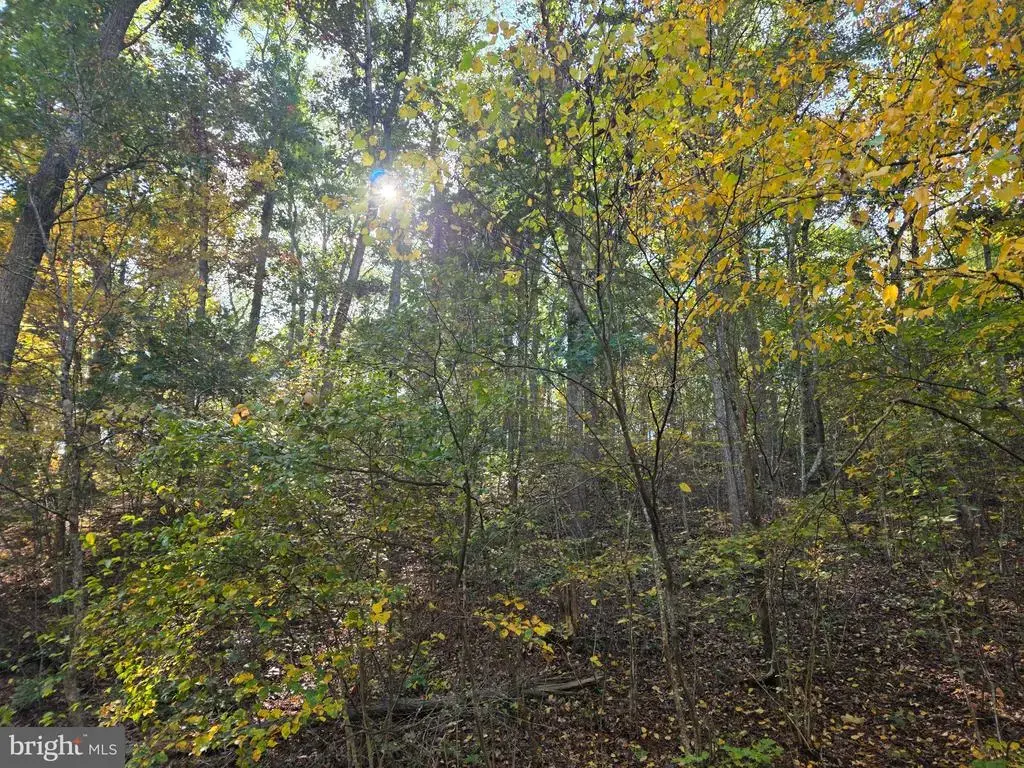Parsons Rd, HEDGESVILLE