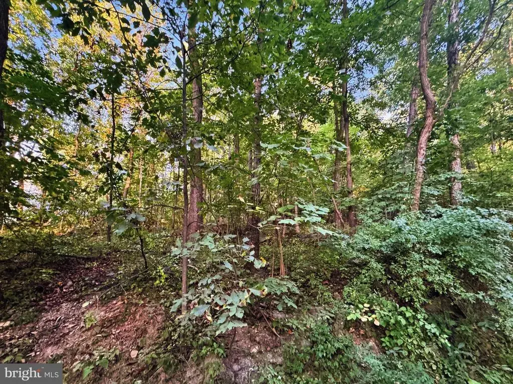 Lots 19-20 Red Maple Ln, HARPERS FERRY