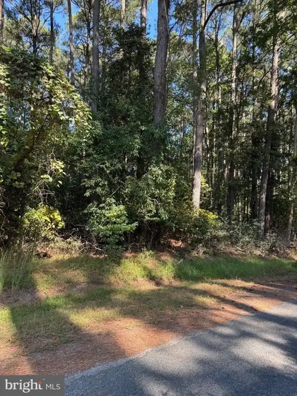 Lot 870 Broadside Dr, GREENBACKVILLE