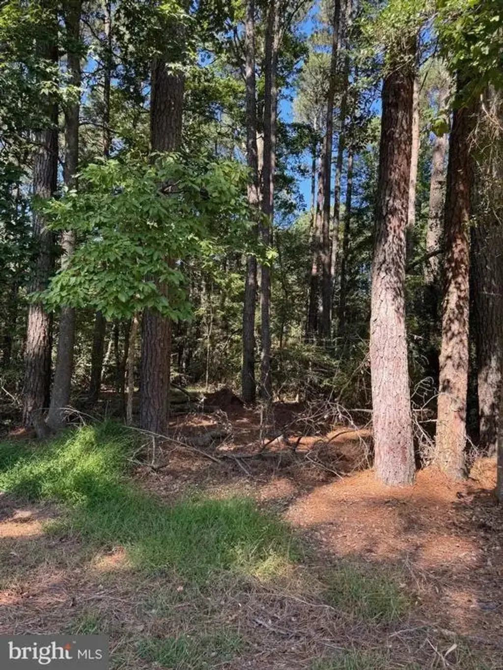 Lot 871 Broadside Dr, GREENBACKVILLE