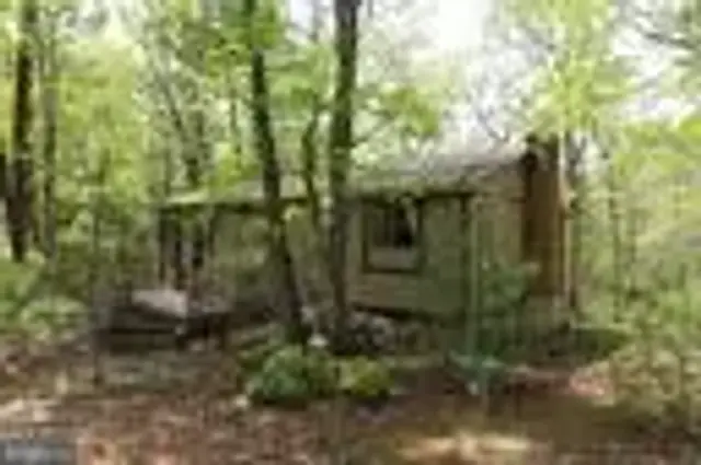 190 Tanglewood Ln, Orkney Springs