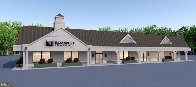 505 Amherst St, Winchester