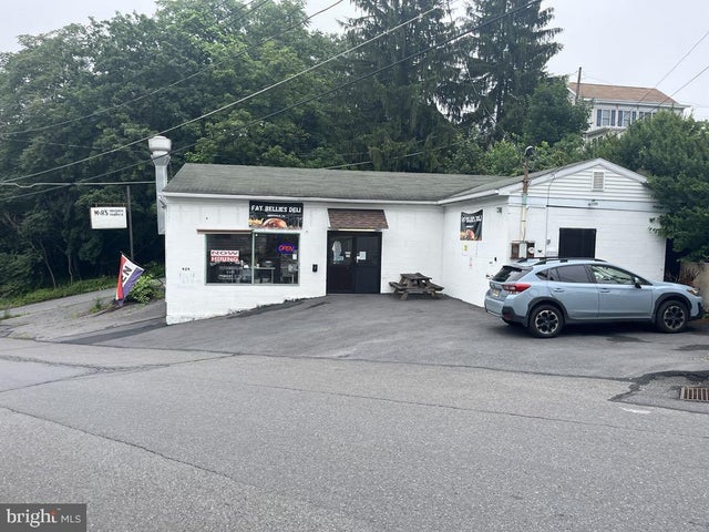 439 Heffner St, Minersville