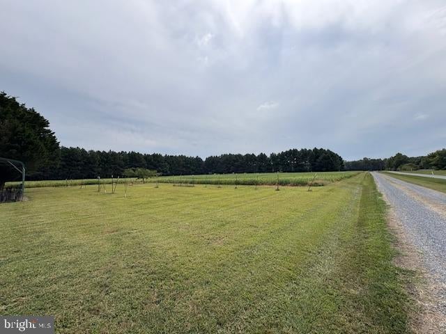 21682 Dover Bridge Rd, Preston