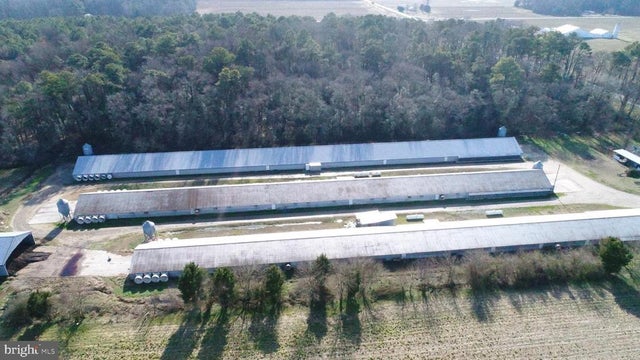 6425 Eldorado Rd, Federalsburg