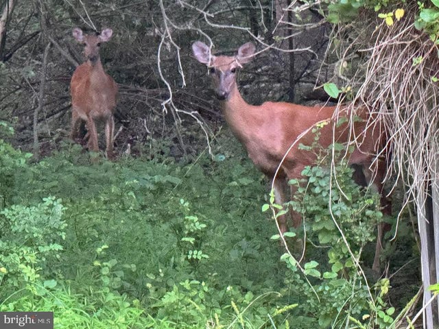 3515-b Clayton Rd, Joppa