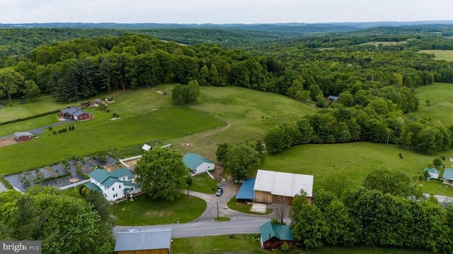 2431 Sylvis, Cherry Tree