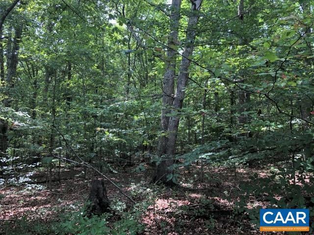 Lot 41 Foxwood Dr #41, Barboursville