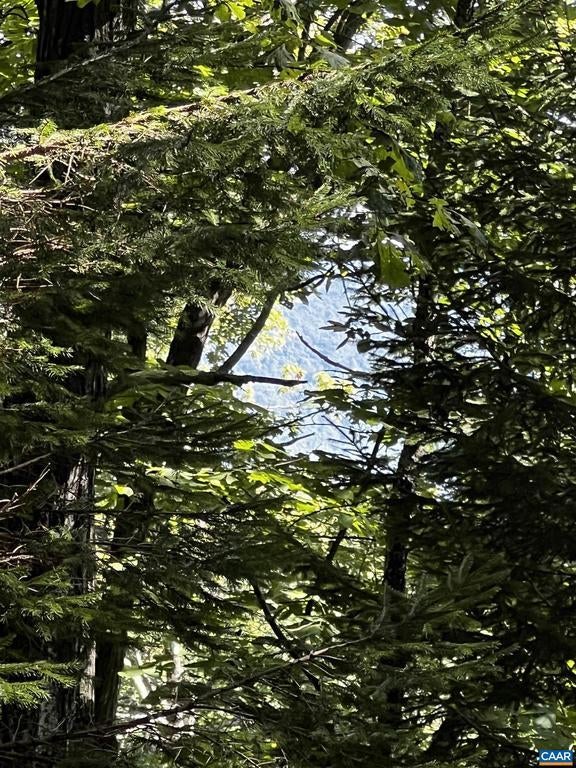 Tbd Shamokin Springs Trl #155 Chestnut Springs, Wintergreen Resort