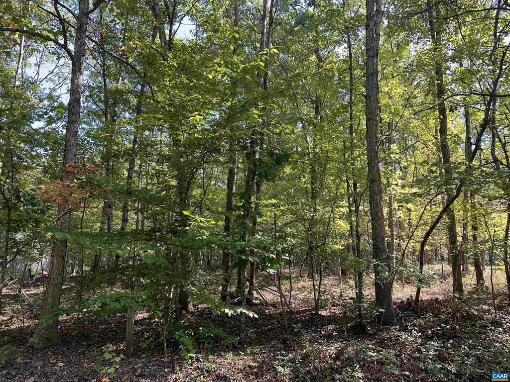 0229 Pinehurst Dr 229, LOUISA VA LOUISA Lots/Land Homes For Sale