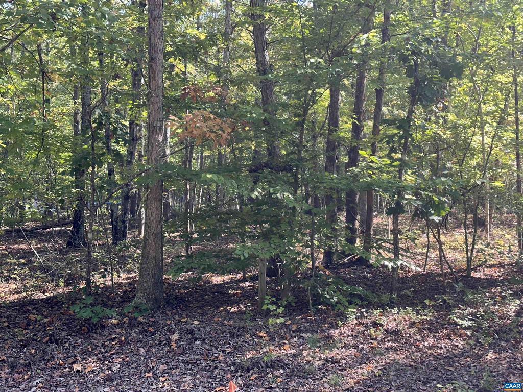 0229 Pinehurst Dr 229, LOUISA VA LOUISA Lots/Land Homes For Sale