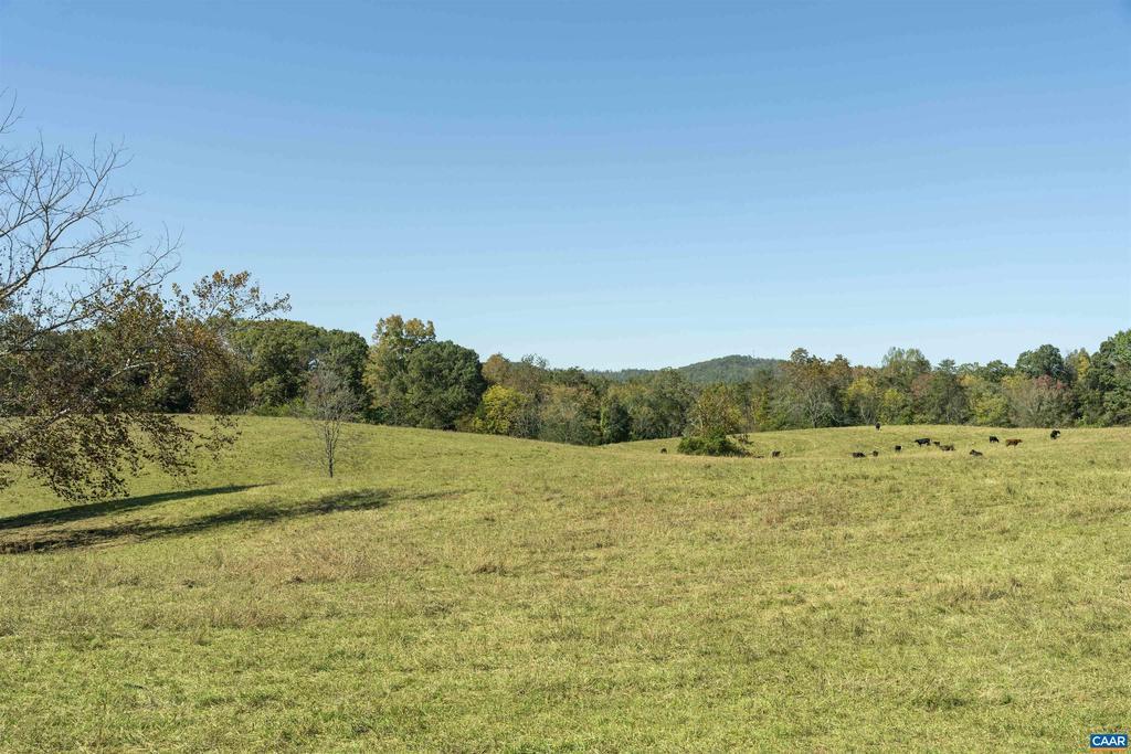 14560 Madison Run Rd, GORDONSVILLE VA GORDONSVILLE Lots/Land Homes