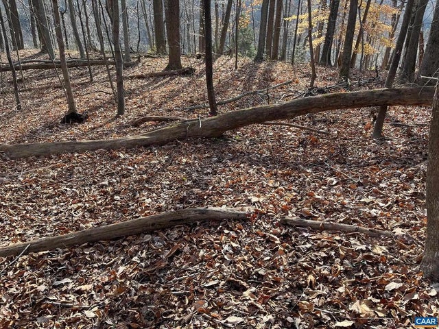 Monacan Trail Rd, Covesville