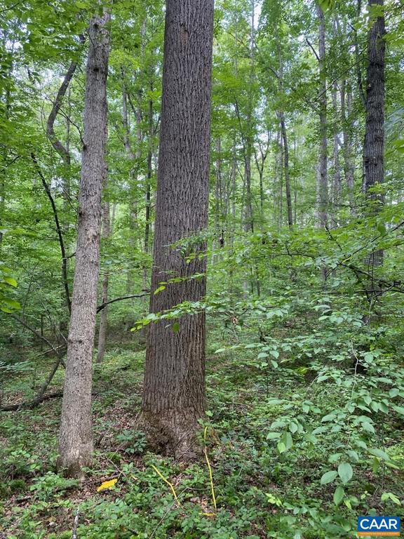Lot 2 Waldrop Church Rd, Louisa