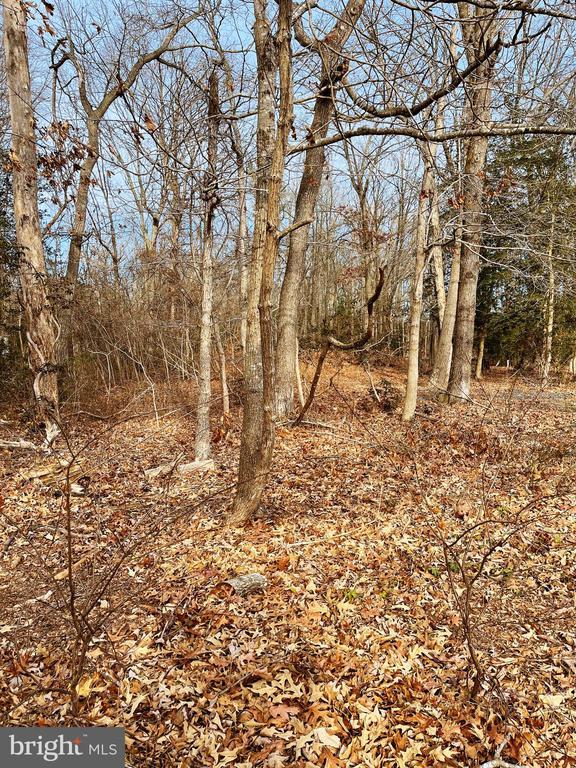 917 Spruce Ave, Milford