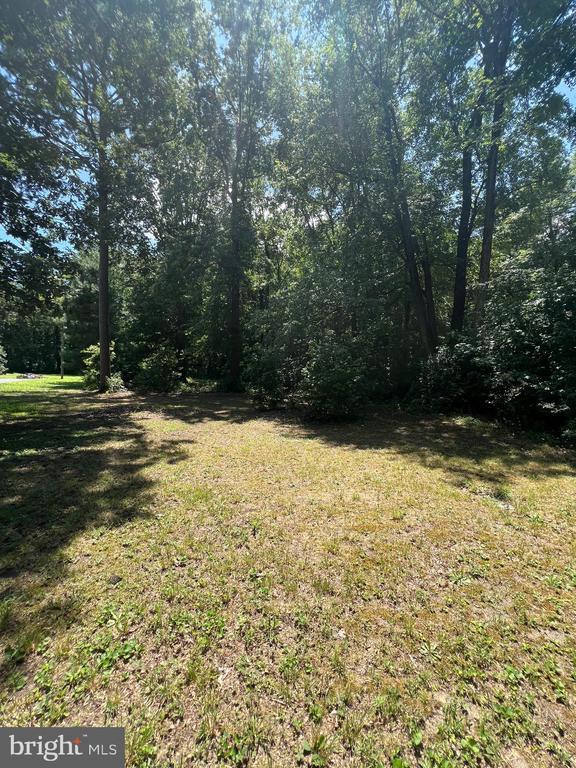 Gun & Rod Club Rd, Houston