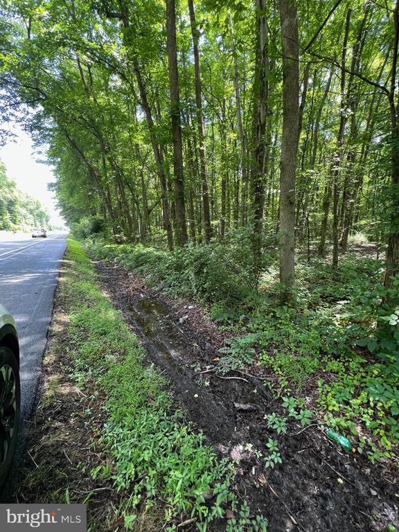 Tbd Halltown Rd #3, Hartly