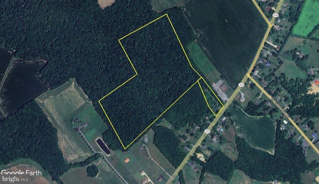 38.6 +/- Acres Wheatleys Pond Rd, Smyrna