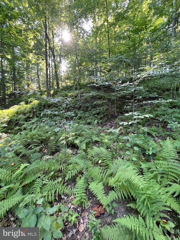 1 Laurel Ridge Ln, Wilmimgton