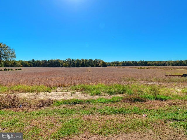 0 Harmons Hill Rd, Millsboro