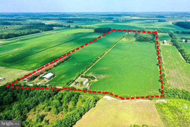 34311 Horse Play Way, Frankford