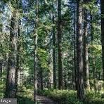 Rte 9 Lot 12 Secluded Lane, Georgetown