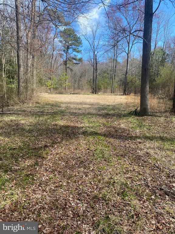 Parcel 7.01 Savannah Rd, Rd 246, Georgetown