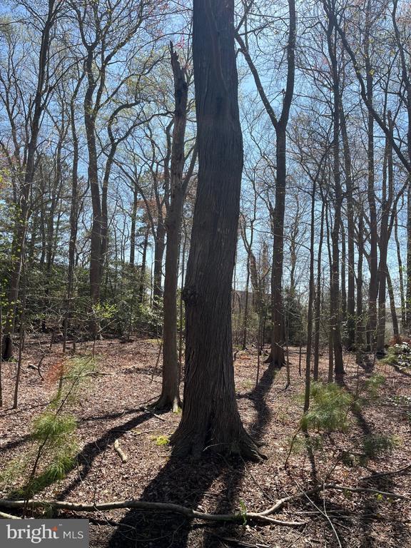 Lot 22 Pine Grove Ln, Ocean View