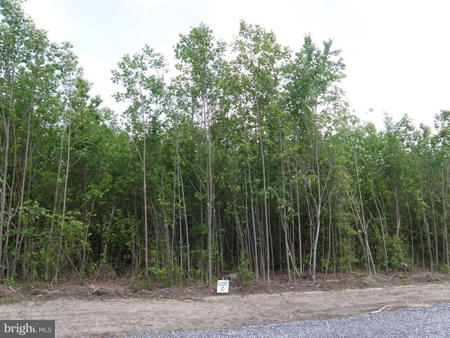Lot C - 133-9.00-9.18 Easement Off Of Shortly Rd, Georgetown