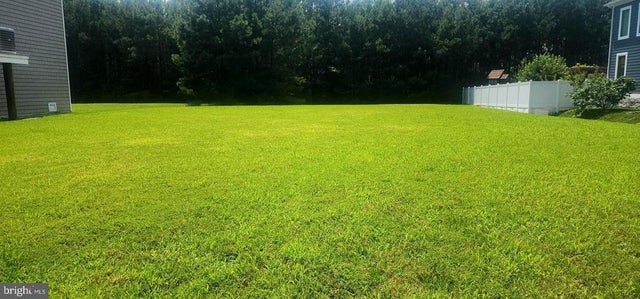 38101 Natures Walk Way, Selbyville