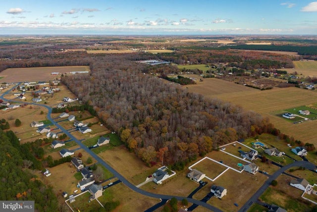 48.1 Acres Morris Mill Rd, Millsboro