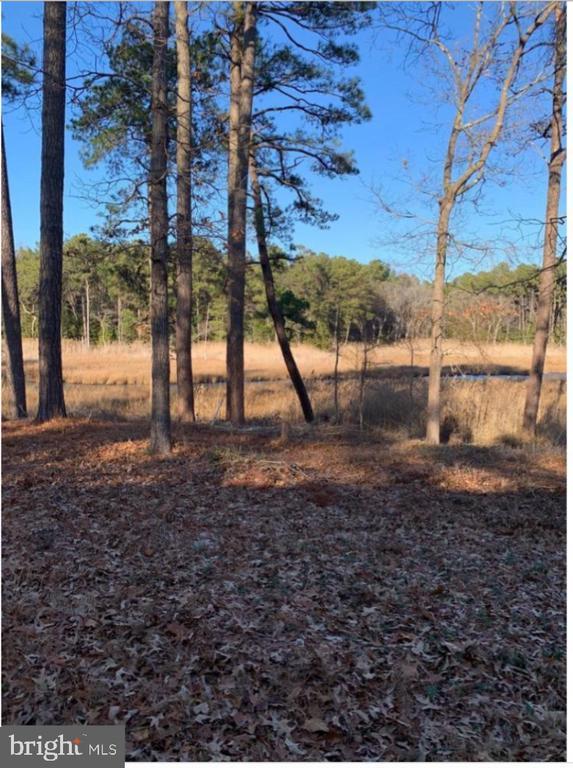 36357 Fir Dr, Rehoboth Beach