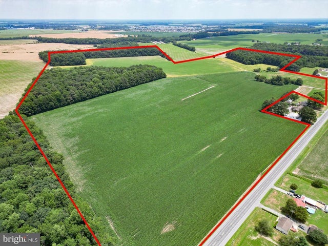 19973 White Elm Rd, Bridgeville