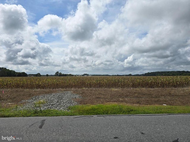 Lot 4 Gray Road, Dagsboro