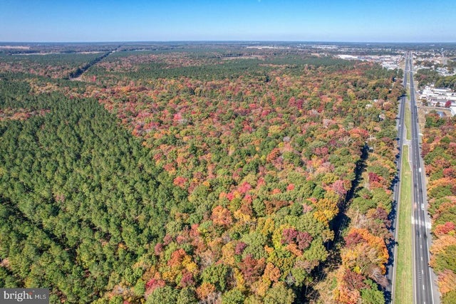 30836 Dupont Blvd, Dagsboro