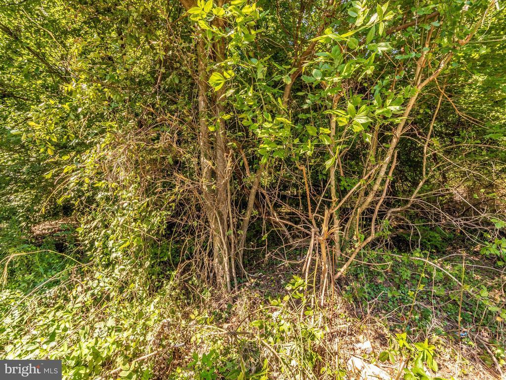 1622 Ritchie Hwy, ARNOLD MD ARNOLD Lots/Land Homes For Sale