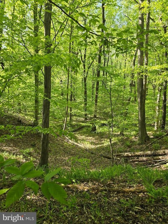 Old Herald Harbor Rd, Crownsville