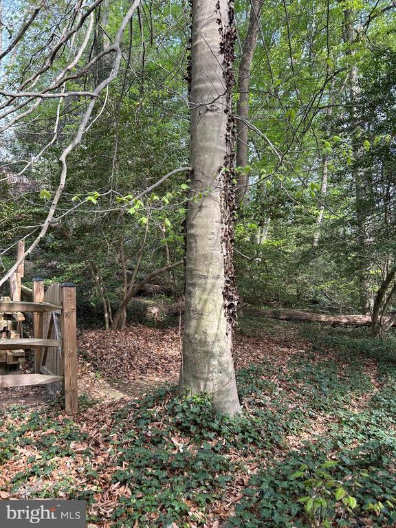 Redwood Trl, Crownsville