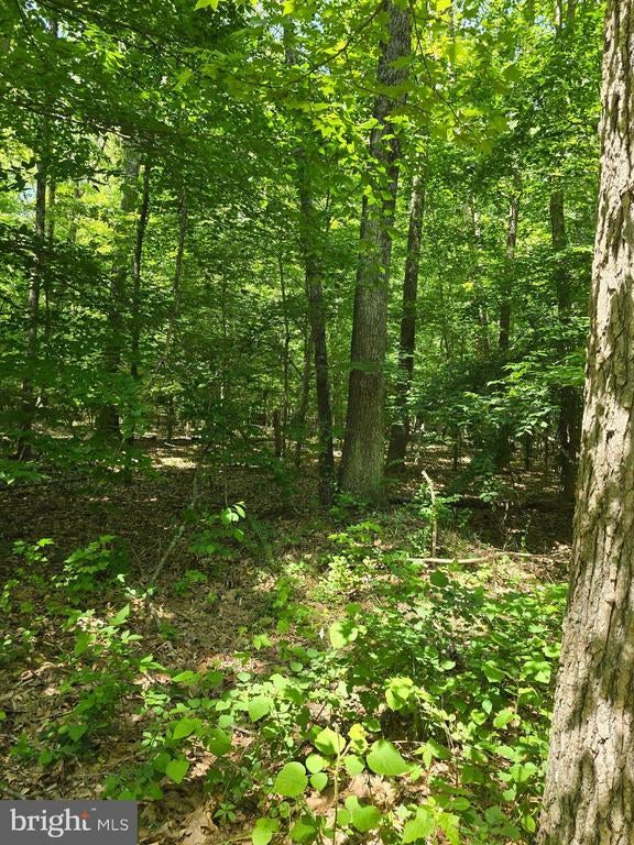 Old Herald Harbor Rd, Crownsville