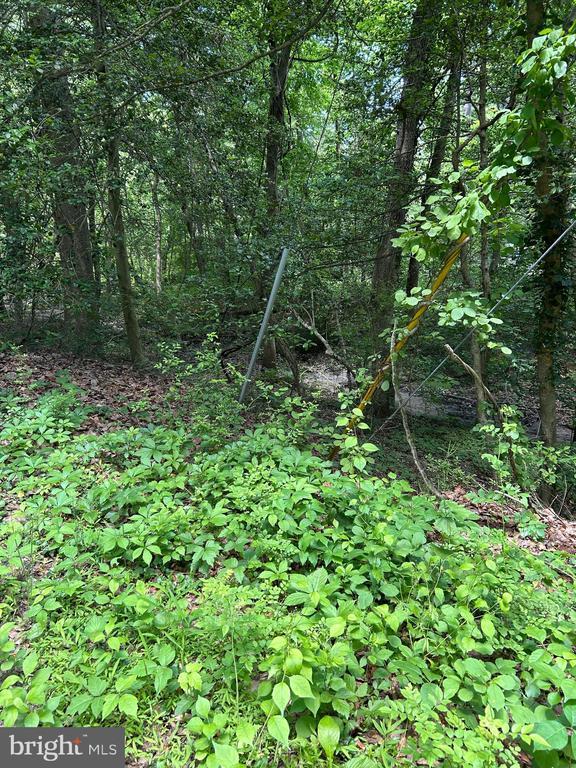 Elm Trail, Crownsville