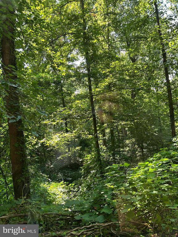 Yew Trl, Crownsville